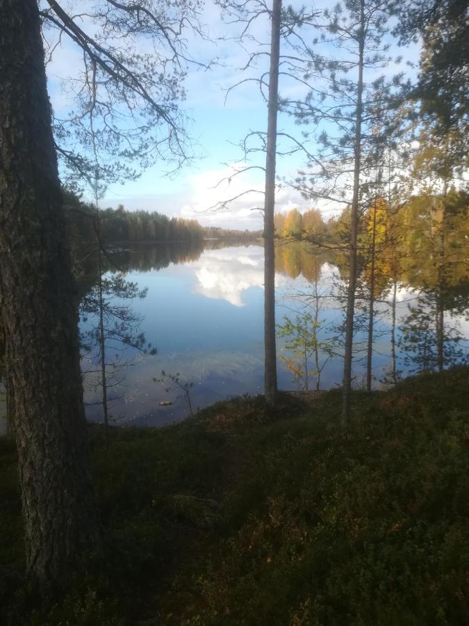 Tiirantuvat Villa Juankoski Eksteriør bilde